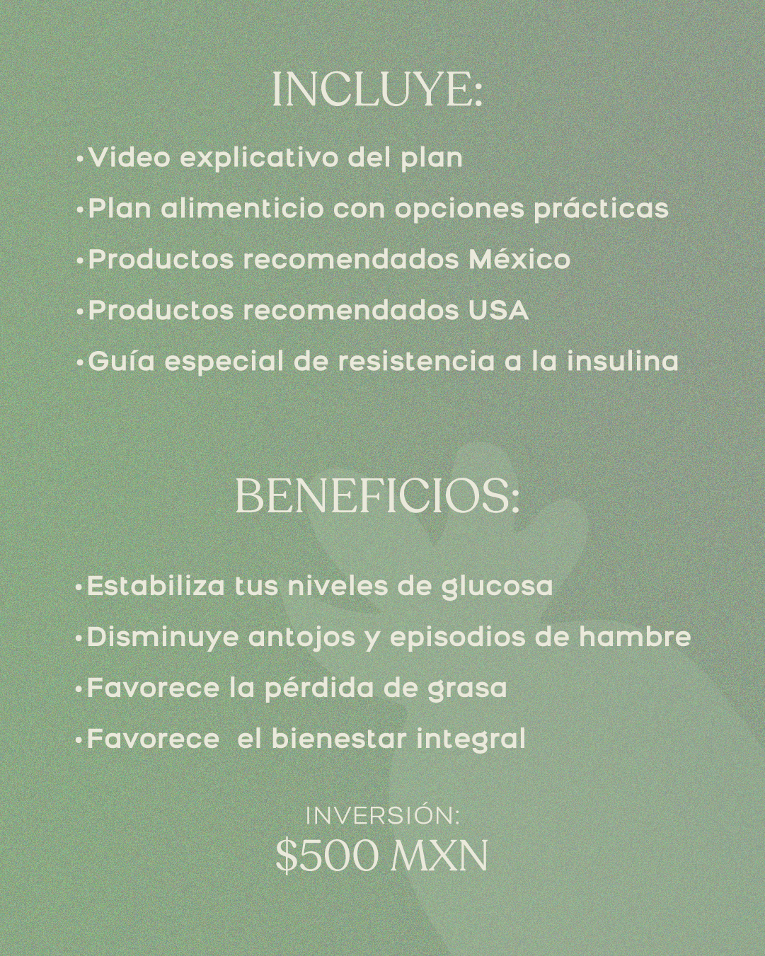 Plan nutricional - Resistencia a la insulina